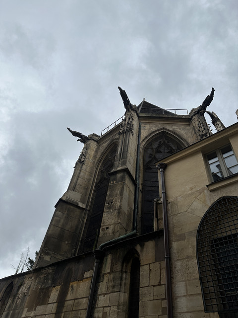 IMG-5499