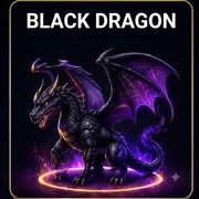 Pet Black Dragon