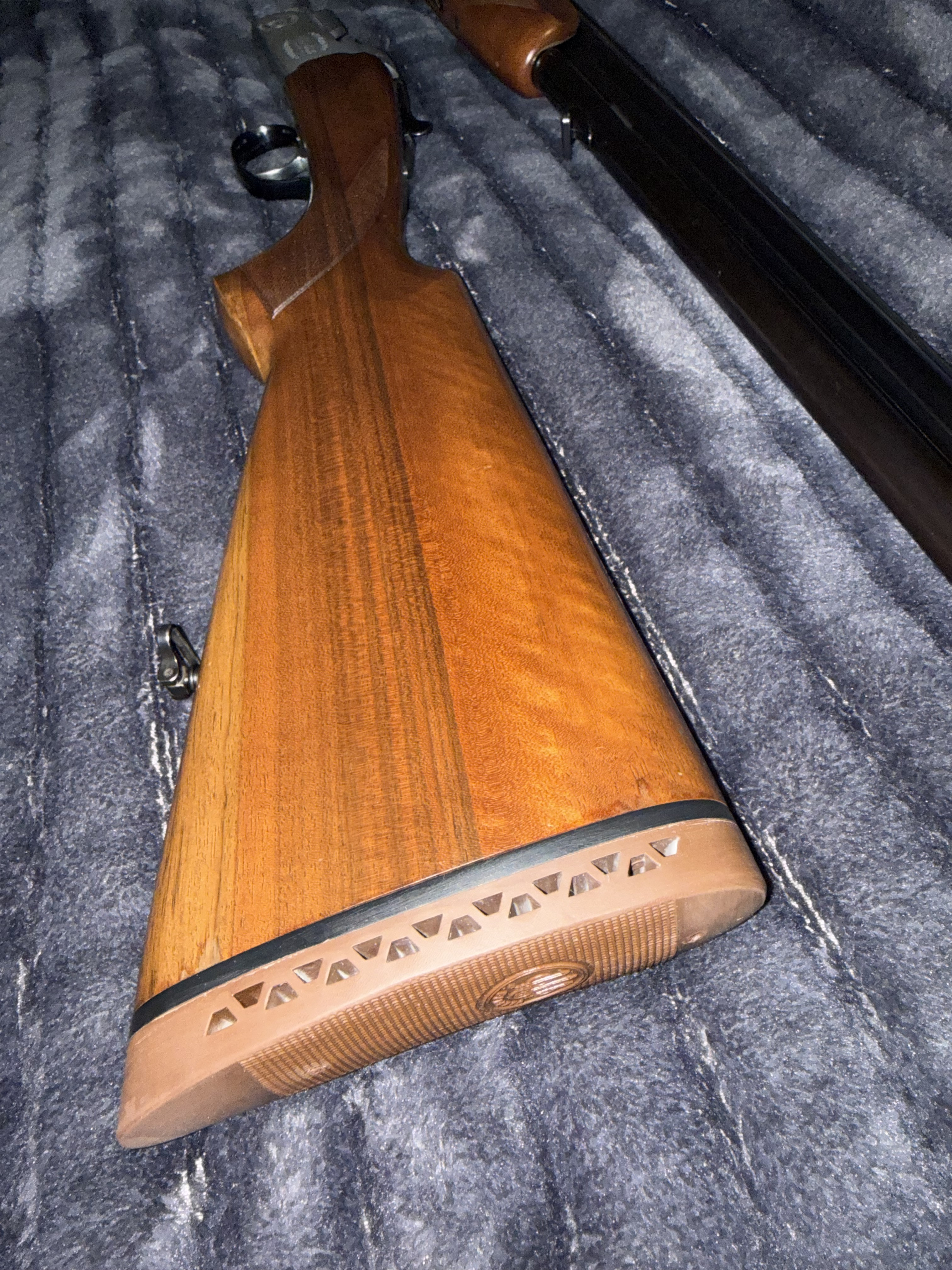 [Linked Image from i.ibb.co]