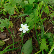 DSC04709