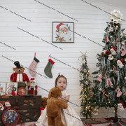 IMG 4033