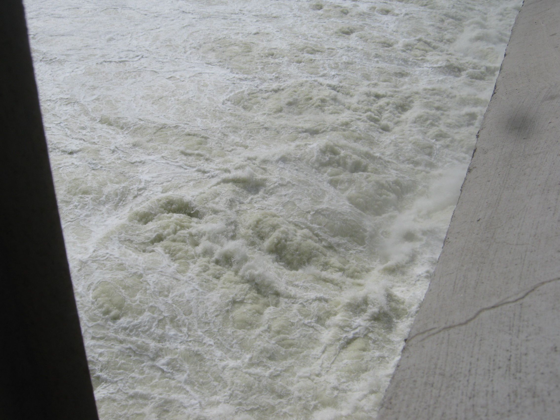 IMG-0295.jpg
