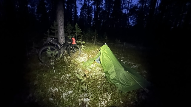IMG 5672.jpg