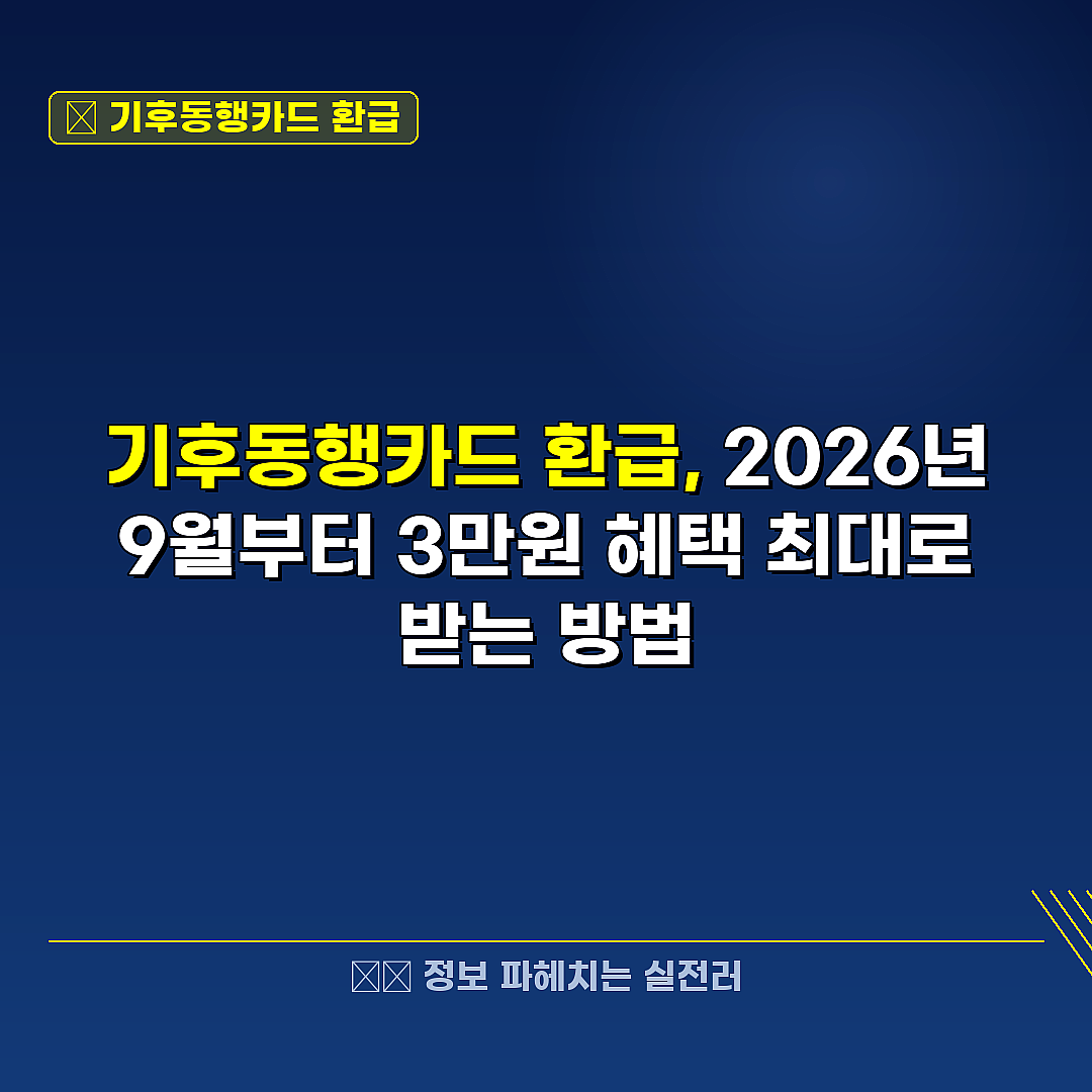 기후동행카드 환급 관련 정보 썸네일
