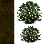TREE 2