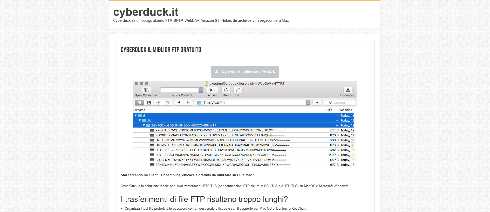 Forensic screenshot of cyberduck.it showing the phishing page layout