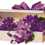 a5c6a871c2ed