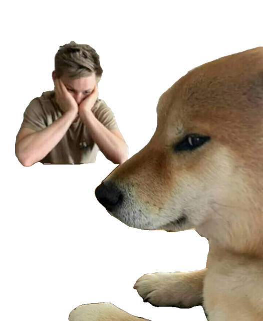 219