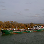 DSC08216