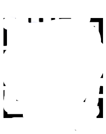 newqr.png