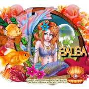 salsa-aafishtag