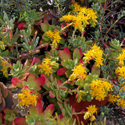IMG-7027