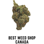Best-Weed-Shop-Canada-37