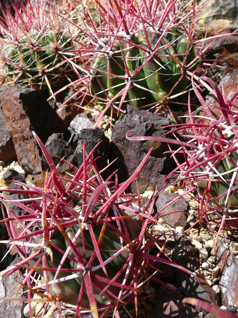 P1250220
