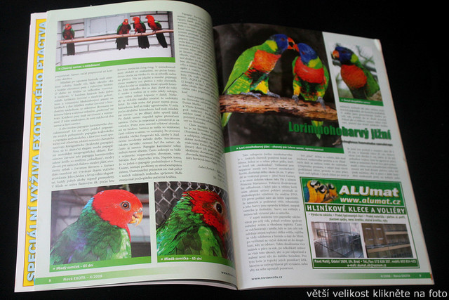IMG-7832.jpg