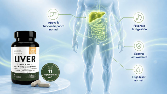 Visual del cuerpo con hígado y sistema digestivo