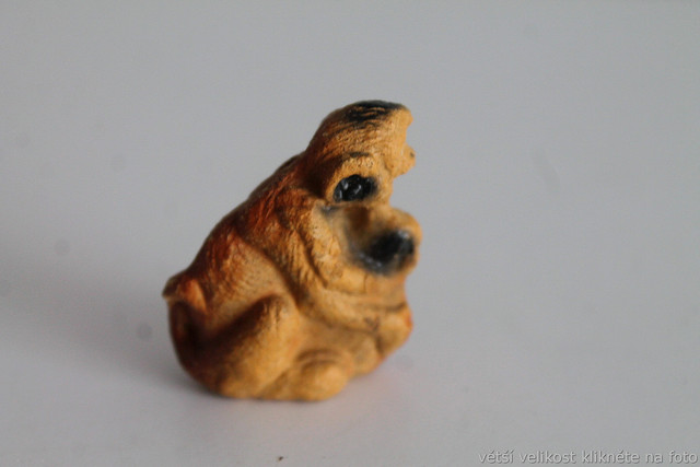 IMG-6690.jpg