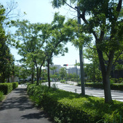 P1330429