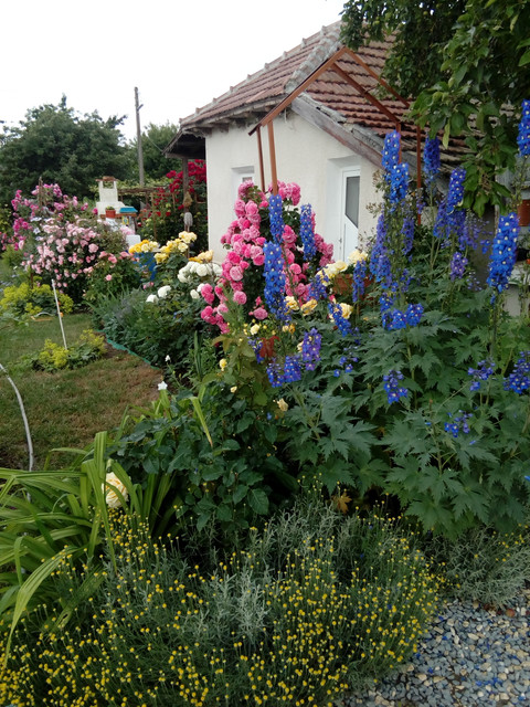 IMG 20170608 080210