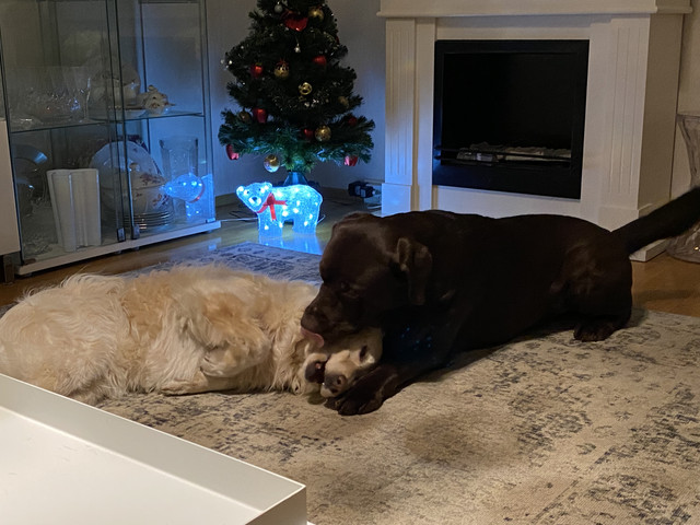 7-A94-B3-C6-EA24-4800-A772-3-BB642-D015-