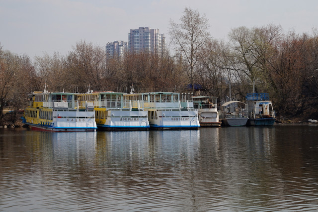 DSC03543.jpg