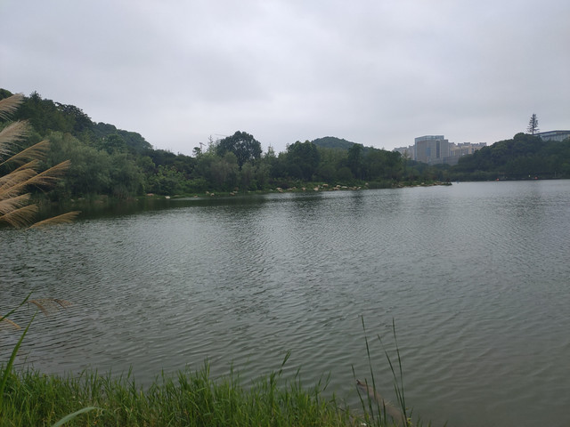 IMG20200713125735.jpg