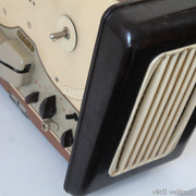 IMG-7657