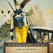 Grey Wolves Valkyrie