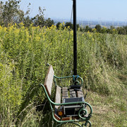 IMG-9372