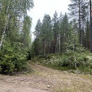 IMG 4961