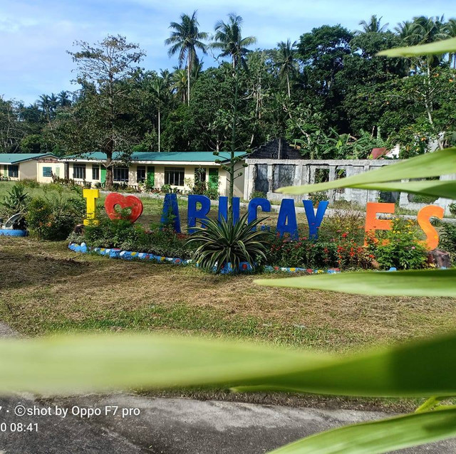 Abucay Elementary School Logo