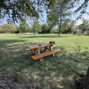 IMG 7968