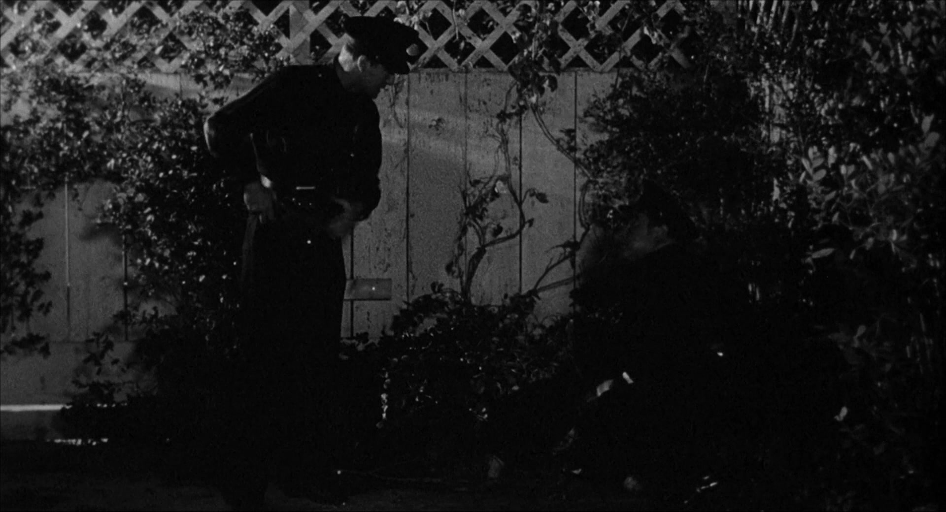 Movie cover image