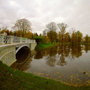 OLYMPUS-DIGITAL-CAMERA