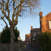 IMGP9981