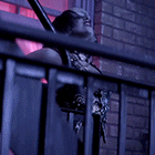 37.gif