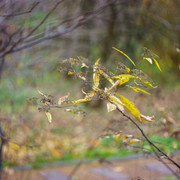 DSC02575