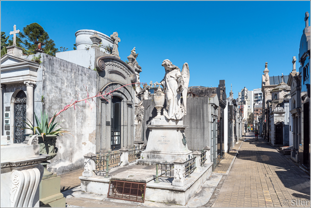 Буэнос-Айрес, Ушуая, Эль-Калафате, Перито-Морено, Эль-Чалтен, Игуасу (весна 2025) Буэнос-Айрес, Ушуая, Эль-Калафате, Перито-Морено, Эль-Чалтен, Игуасу (весна 2025)