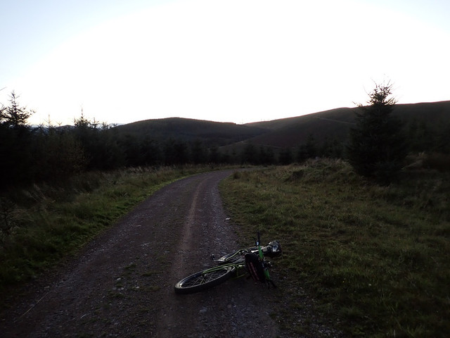 PA100649.jpg