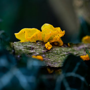 L1010821