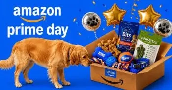 Amazon Prime Day 2026: Top Dog Deals for Pet Owners