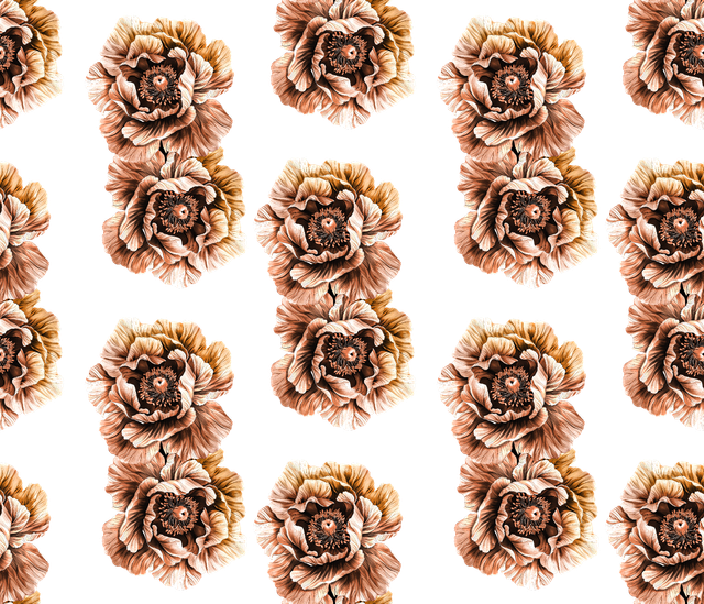 Untitled 1.png