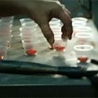 16.gif
