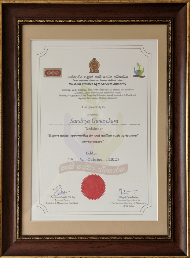 Dignify Ceylon New Image