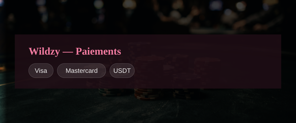 Wildzy — Paiements: Visa, Mastercard, USDT