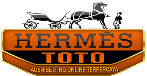 Logo 13