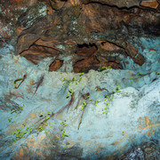 L1013457