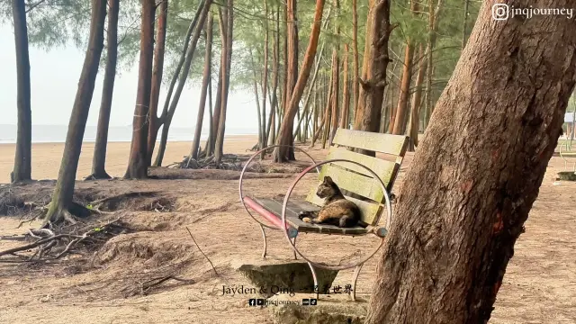 Pantai Hiburan5.webp