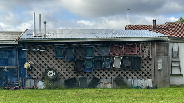 IMG 5340.jpg