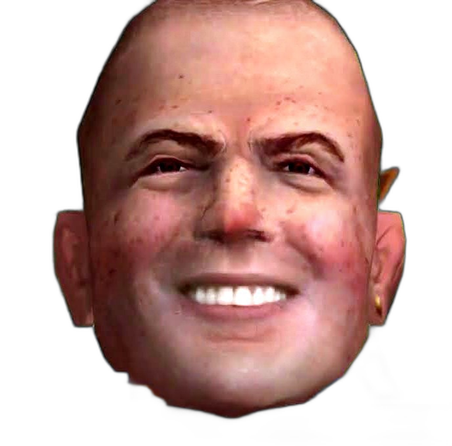 wgiconbully (7).png